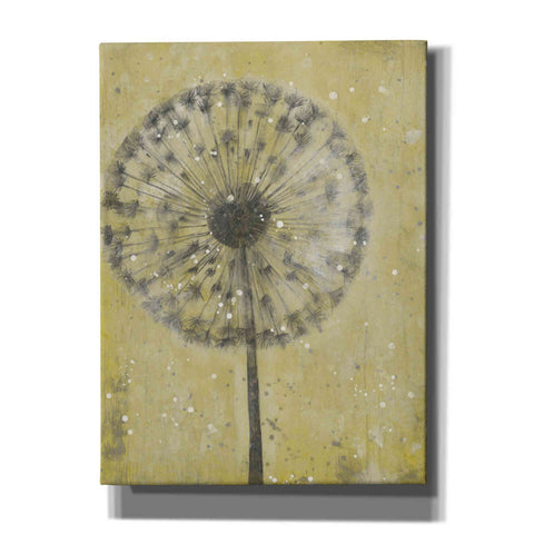 Image of 'Dandelion Abstract II' by Tim O'Toole, Canvas Wall Art