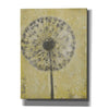 'Dandelion Abstract II' by Tim O'Toole, Canvas Wall Art