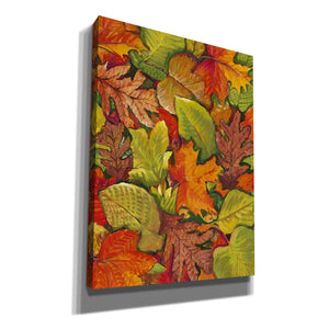 'Fallen Leaves I' by Tim O'Toole, Canvas Wall Art