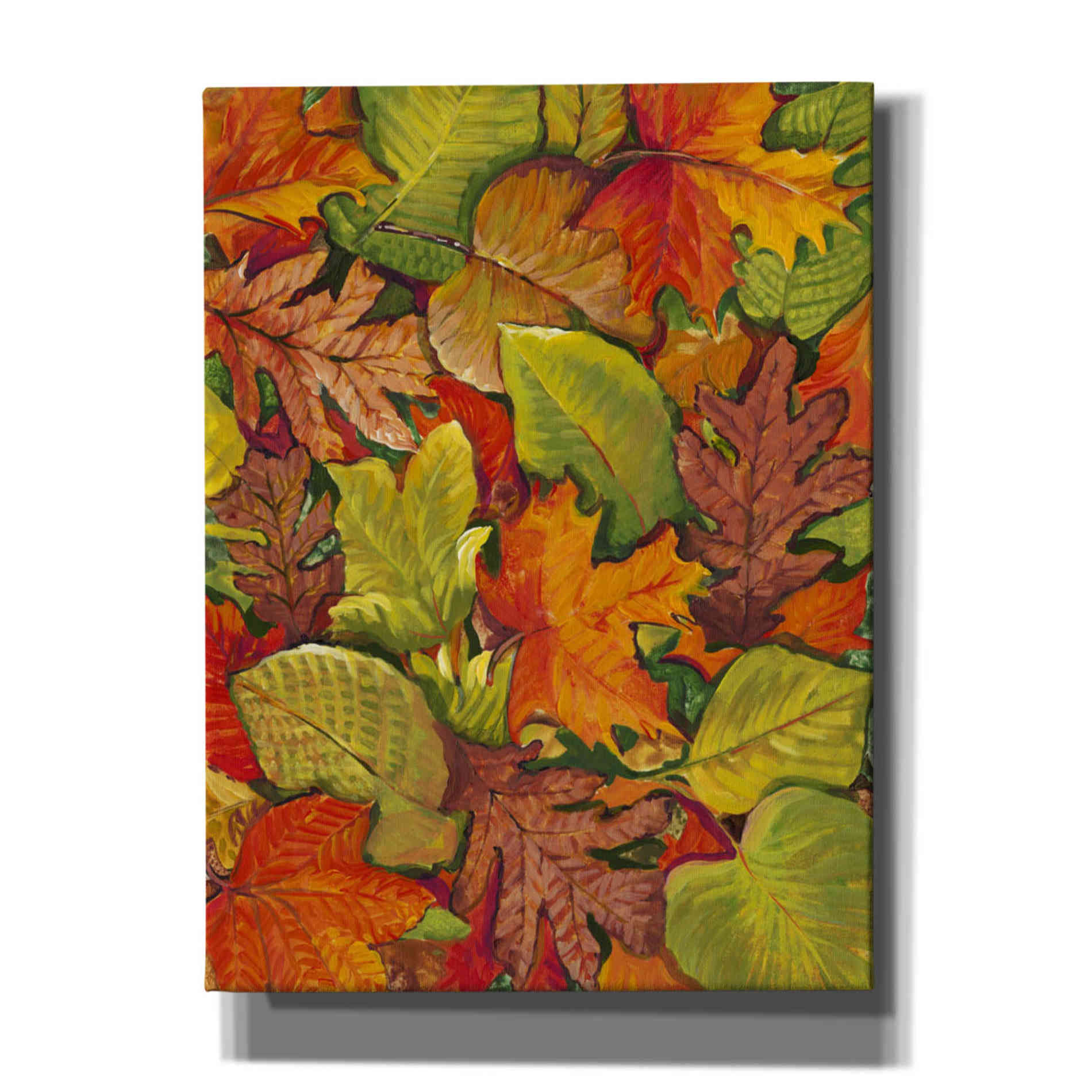'Fallen Leaves I' by Tim O'Toole, Canvas Wall Art