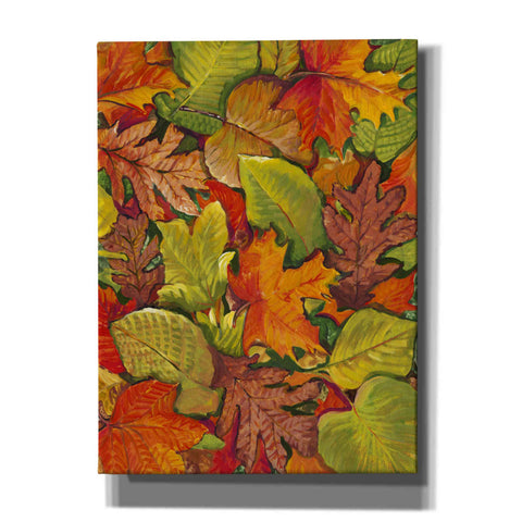 Image of 'Fallen Leaves I' by Tim O'Toole, Canvas Wall Art