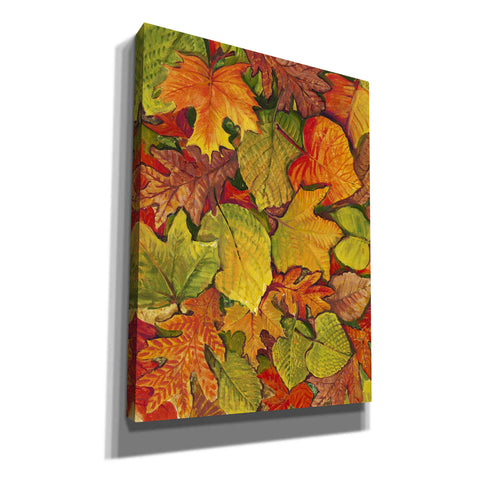 Image of 'Fallen Leaves II' by Tim O'Toole, Canvas Wall Art