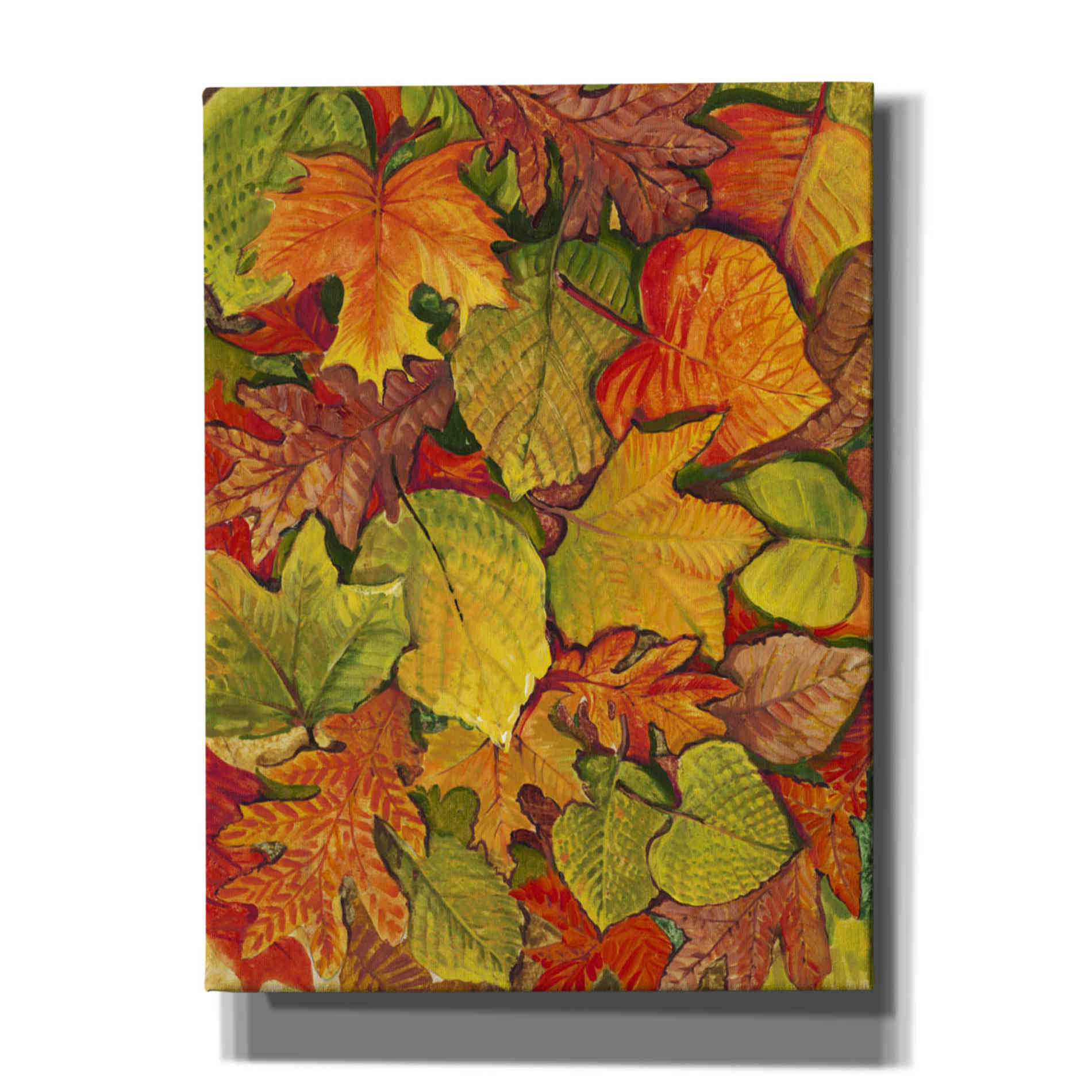 'Fallen Leaves II' by Tim O'Toole, Canvas Wall Art