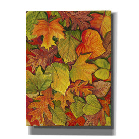 'Fallen Leaves II' by Tim O'Toole, Canvas Wall Art