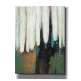 'Falling Colors I' by Tim O'Toole, Canvas Wall Art