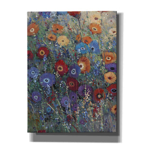 'Flower Patch I' by Tim O'Toole, Canvas Wall Art