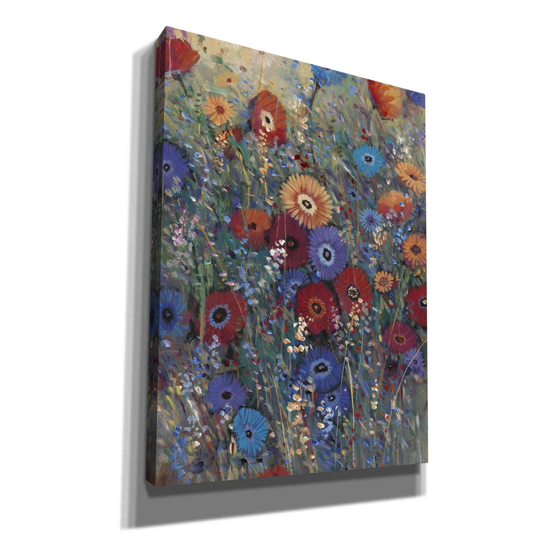 'Flower Patch II' by Tim O'Toole, Canvas Wall Art