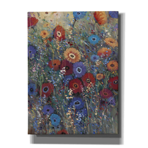 Image of 'Flower Patch II' by Tim O'Toole, Canvas Wall Art