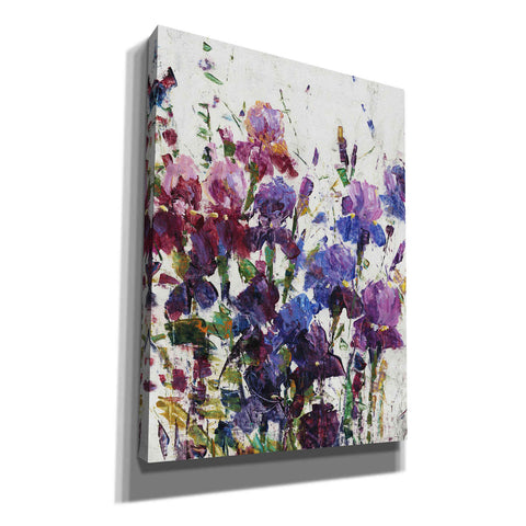 Image of 'Iris Blooming I' by Tim O'Toole, Canvas Wall Art