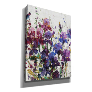 'Iris Blooming I' by Tim O'Toole, Canvas Wall Art