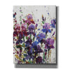 'Iris Blooming I' by Tim O'Toole, Canvas Wall Art