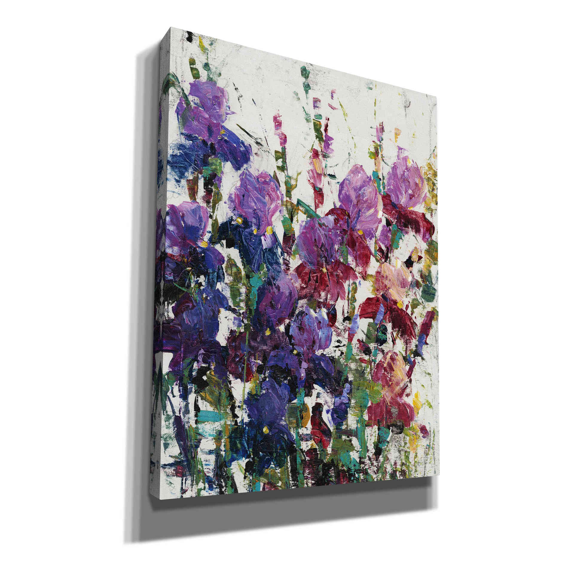 'Iris Blooming II' by Tim O'Toole, Canvas Wall Art
