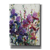 'Iris Blooming II' by Tim O'Toole, Canvas Wall Art