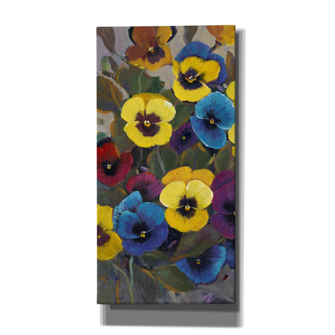 Image of 'Pansy Panel I' by Tim O'Toole, Canvas Wall Art