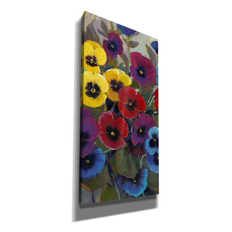 Image of 'Pansy Panel II' by Tim O'Toole, Canvas Wall Art
