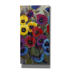 'Pansy Panel II' by Tim O'Toole, Canvas Wall Art