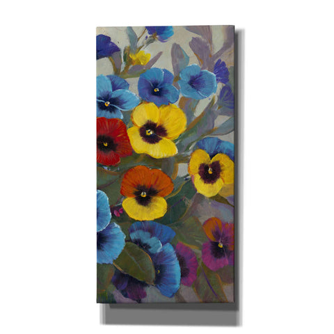 Image of 'Pansy Panel III' by Tim O'Toole, Canvas Wall Art