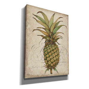 'Pineapple Study I' by Tim O'Toole, Canvas Wall Art