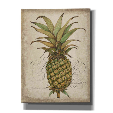 Image of 'Pineapple Study I' by Tim O'Toole, Canvas Wall Art