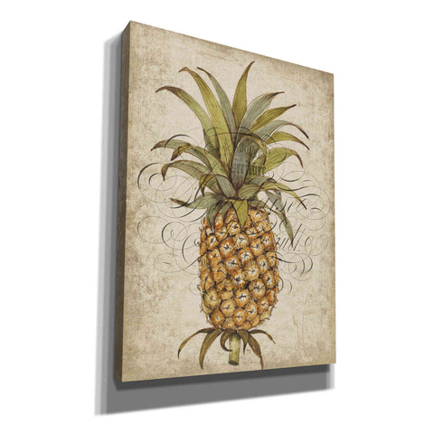 Image of 'Pineapple Study II' by Tim O'Toole, Canvas Wall Art