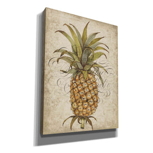 'Pineapple Study II' by Tim O'Toole, Canvas Wall Art