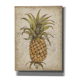 'Pineapple Study II' by Tim O'Toole, Canvas Wall Art