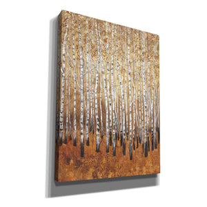 'Sienna Birches I' by Tim O'Toole, Canvas Wall Art