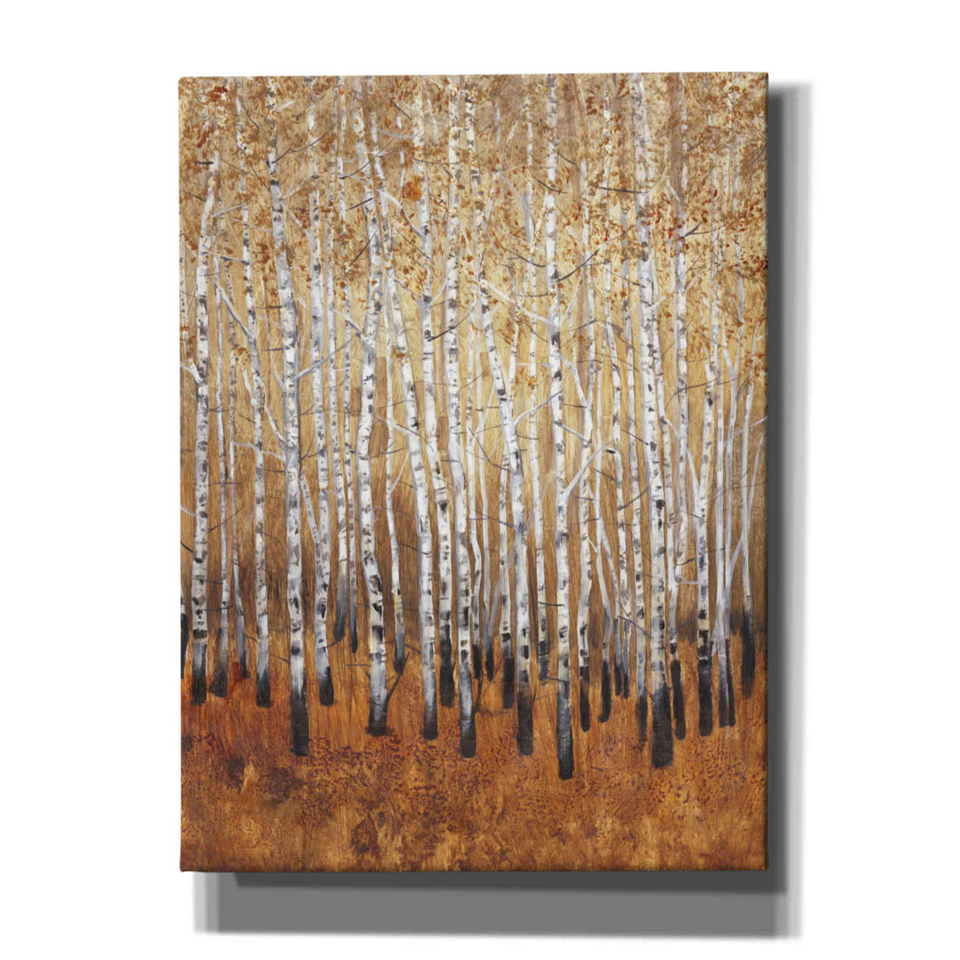 'Sienna Birches I' by Tim O'Toole, Canvas Wall Art