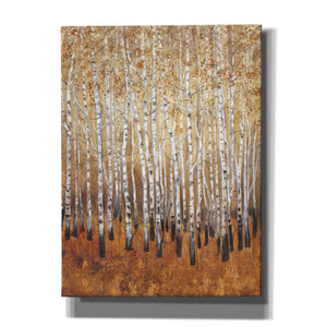 'Sienna Birches I' by Tim O'Toole, Canvas Wall Art