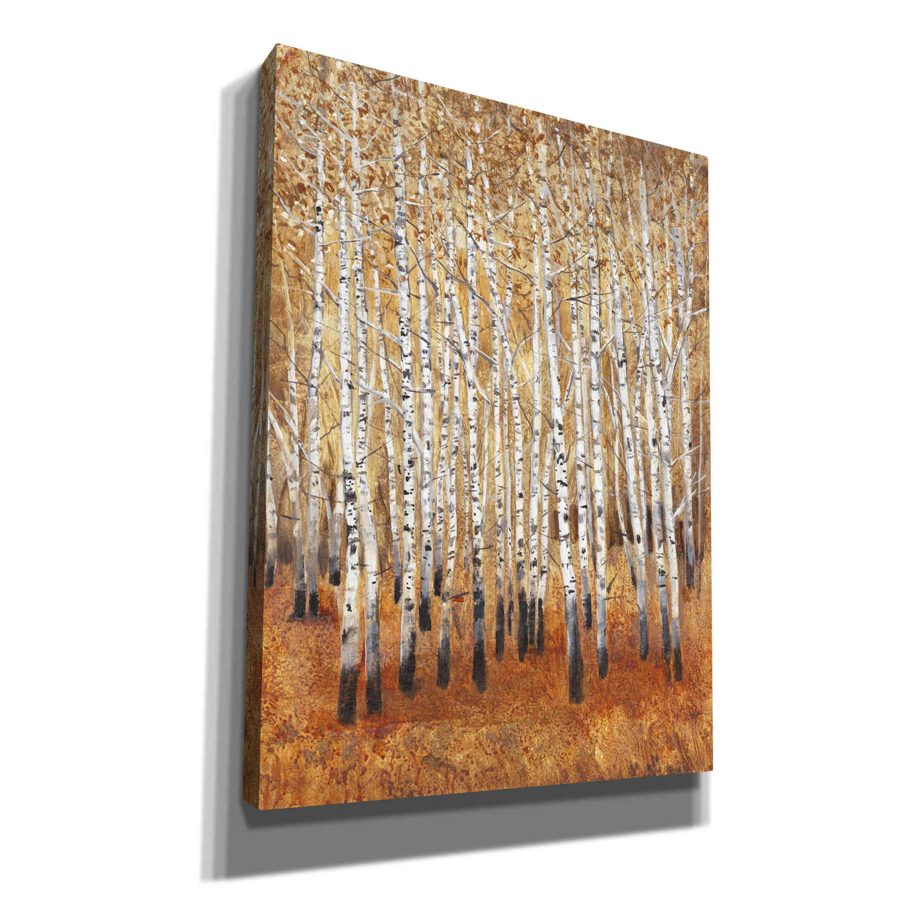 'Sienna Birches II' by Tim O'Toole, Canvas Wall Art