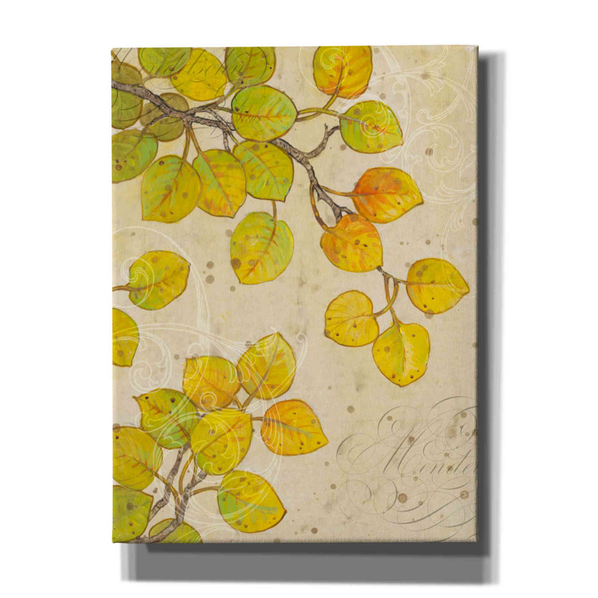 'Turning II' by Tim O'Toole, Canvas Wall Art