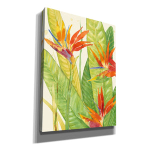'Watercolor Tropical Flowers III' by Tim O'Toole, Canvas Wall Art