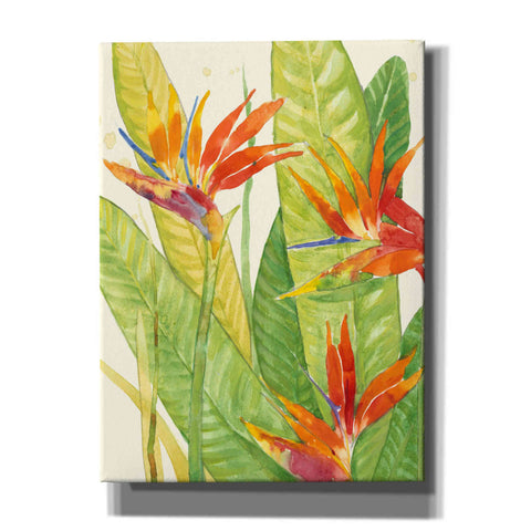 Image of 'Watercolor Tropical Flowers III' by Tim O'Toole, Canvas Wall Art