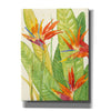 'Watercolor Tropical Flowers III' by Tim O'Toole, Canvas Wall Art