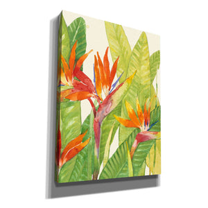 'Watercolor Tropical Flowers IV' by Tim O'Toole, Canvas Wall Art