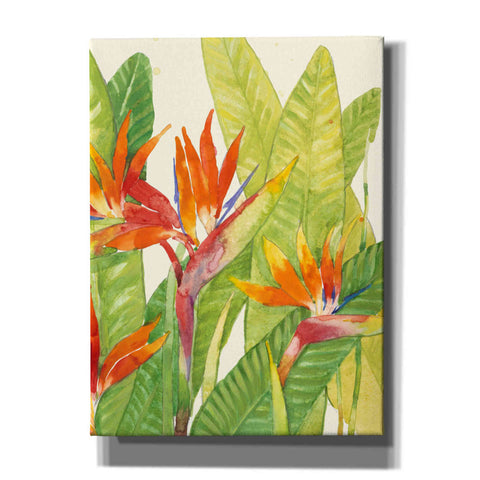 Image of 'Watercolor Tropical Flowers IV' by Tim O'Toole, Canvas Wall Art