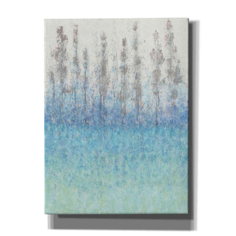 Image of 'Cypress Border I' by Tim O'Toole, Canvas Wall Art