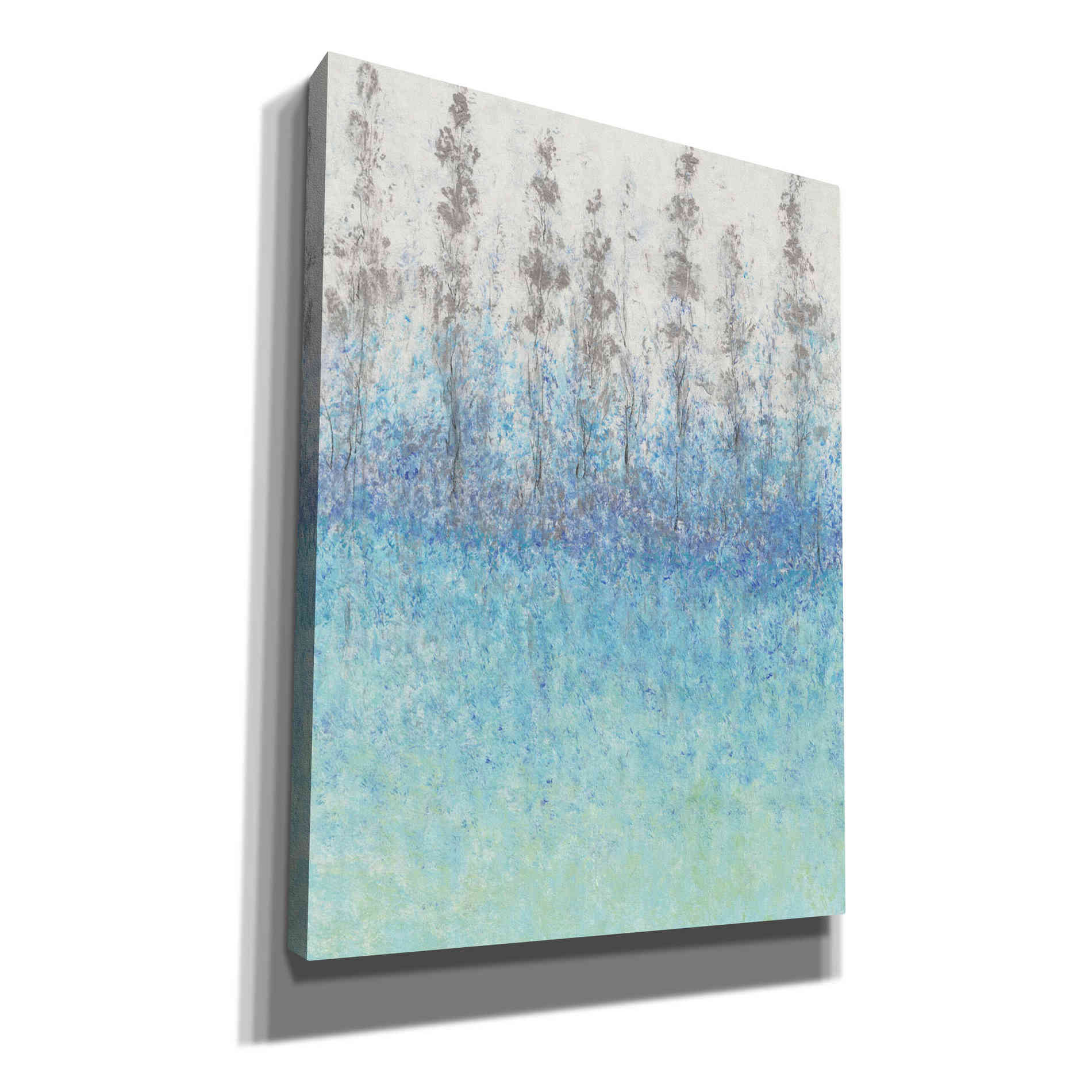 'Cypress Border II' by Tim O'Toole, Canvas Wall Art