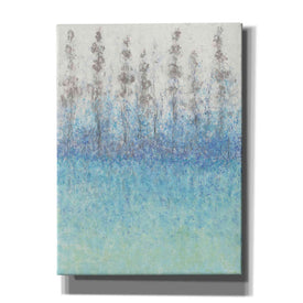 'Cypress Border II' by Tim O'Toole, Canvas Wall Art