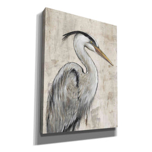 'Grey Heron I' by Tim O'Toole, Canvas Wall Art