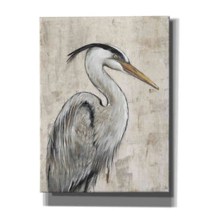 'Grey Heron I' by Tim O'Toole, Canvas Wall Art