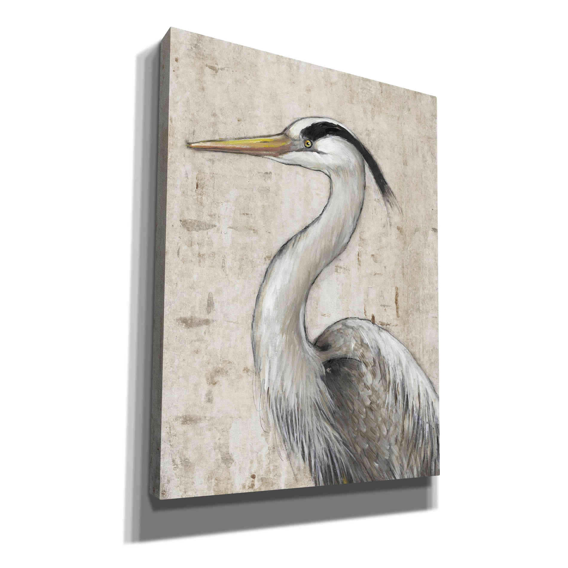 'Grey Heron II' by Tim O'Toole, Canvas Wall Art