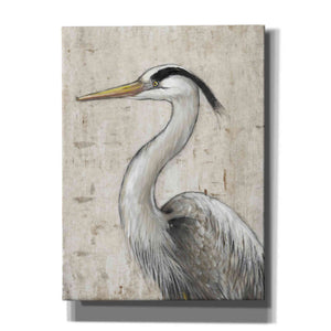 'Grey Heron II' by Tim O'Toole, Canvas Wall Art