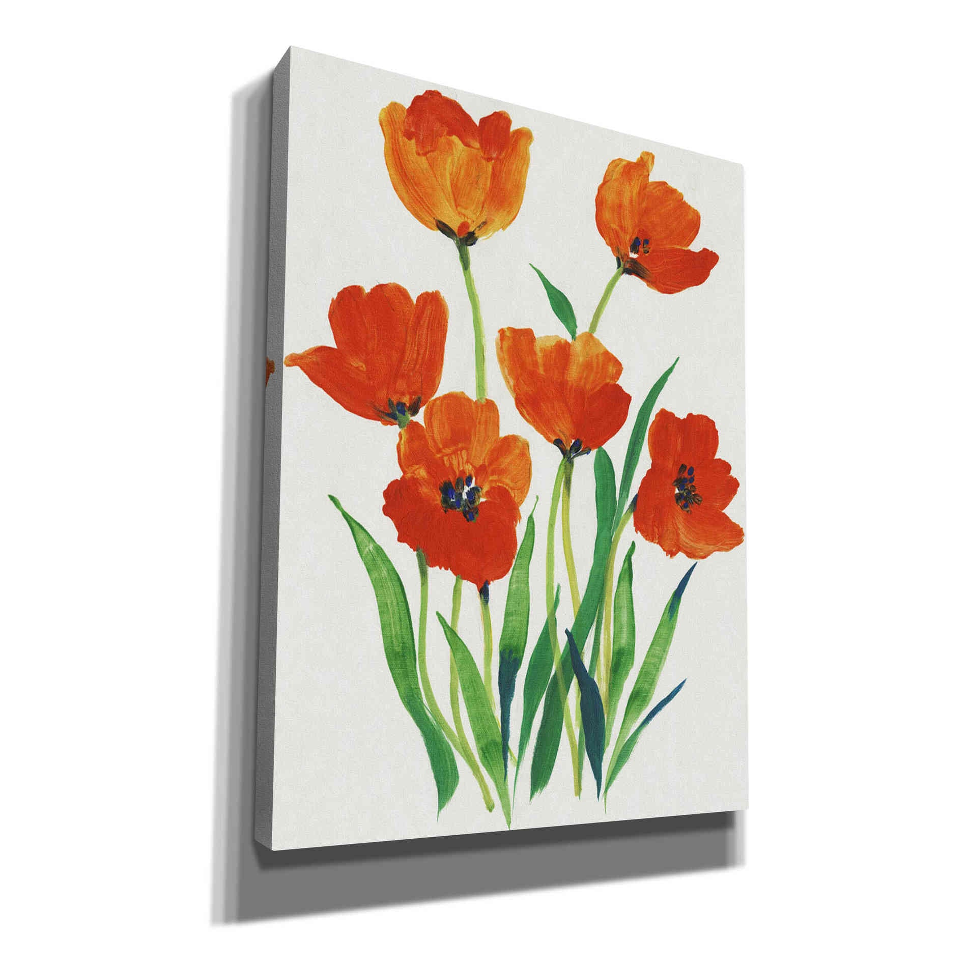 'Red Tulips in Bloom I' by Tim O'Toole, Canvas Wall Art