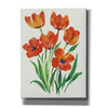 'Red Tulips in Bloom II' by Tim O'Toole, Canvas Wall Art