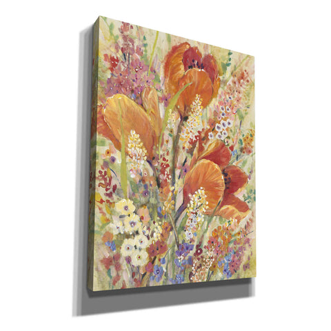 Image of 'Spring Bloom II' by Tim O'Toole, Canvas Wall Art