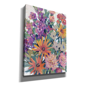 'Spring in Bloom II' by Tim O'Toole, Canvas Wall Art
