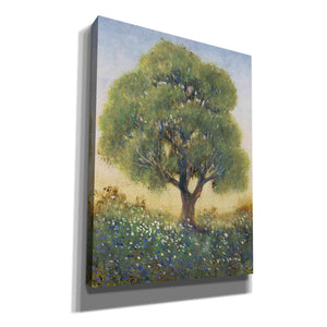 'Standing in the Field I' by Tim O'Toole, Canvas Wall Art