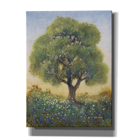 Image of 'Standing in the Field I' by Tim O'Toole, Canvas Wall Art