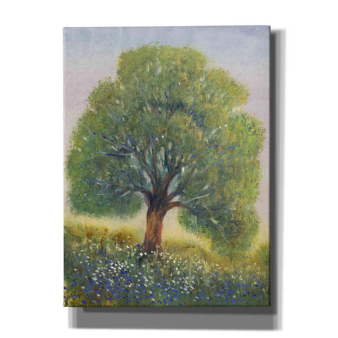 Image of 'Standing in the Field II' by Tim O'Toole, Canvas Wall Art